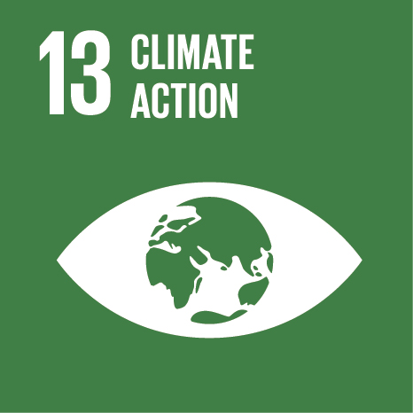 SDG Icon