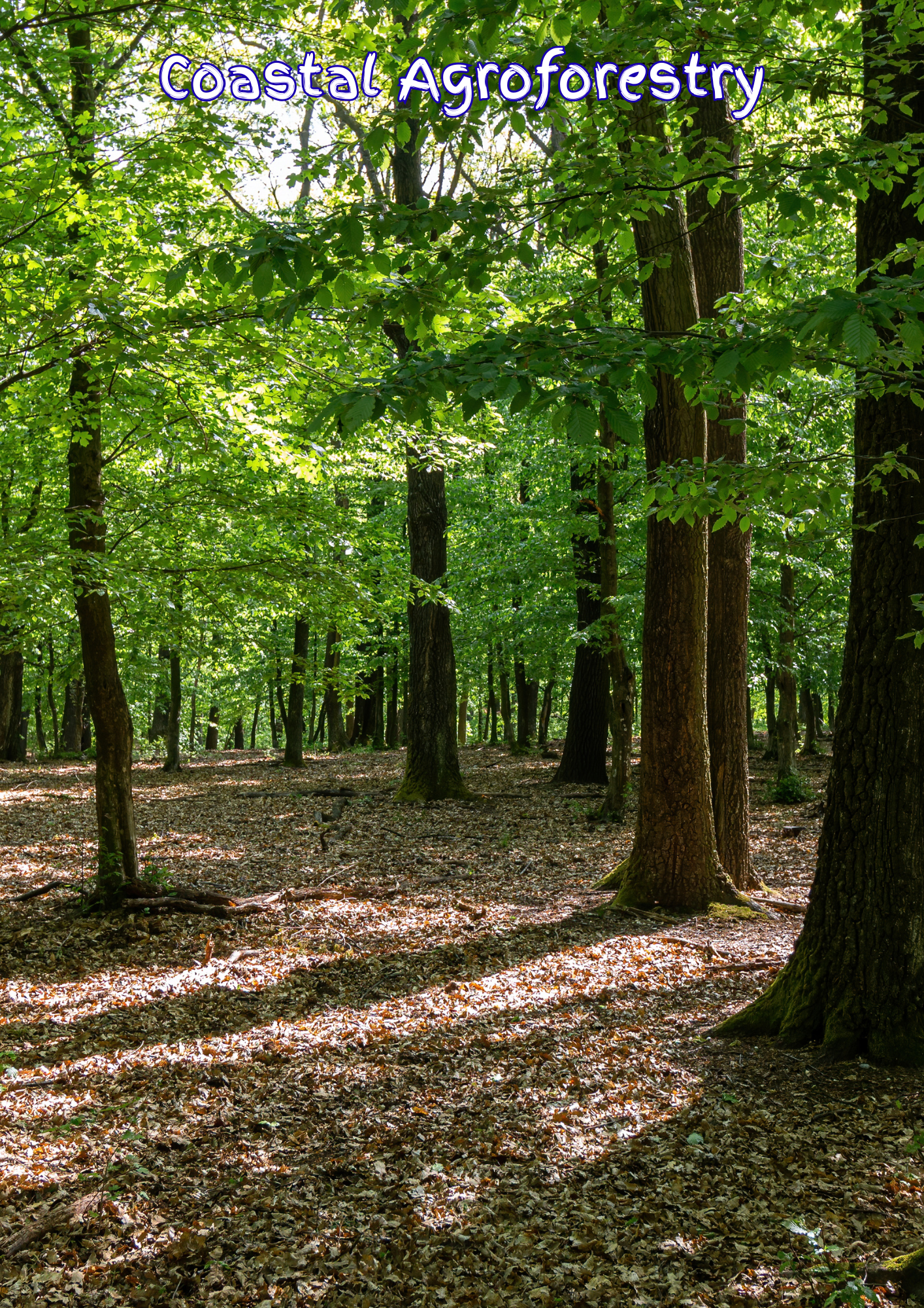 Comprehensive Land Management through Climate Resilience Agroforestry (CLMCRA) Project, Bangladesh