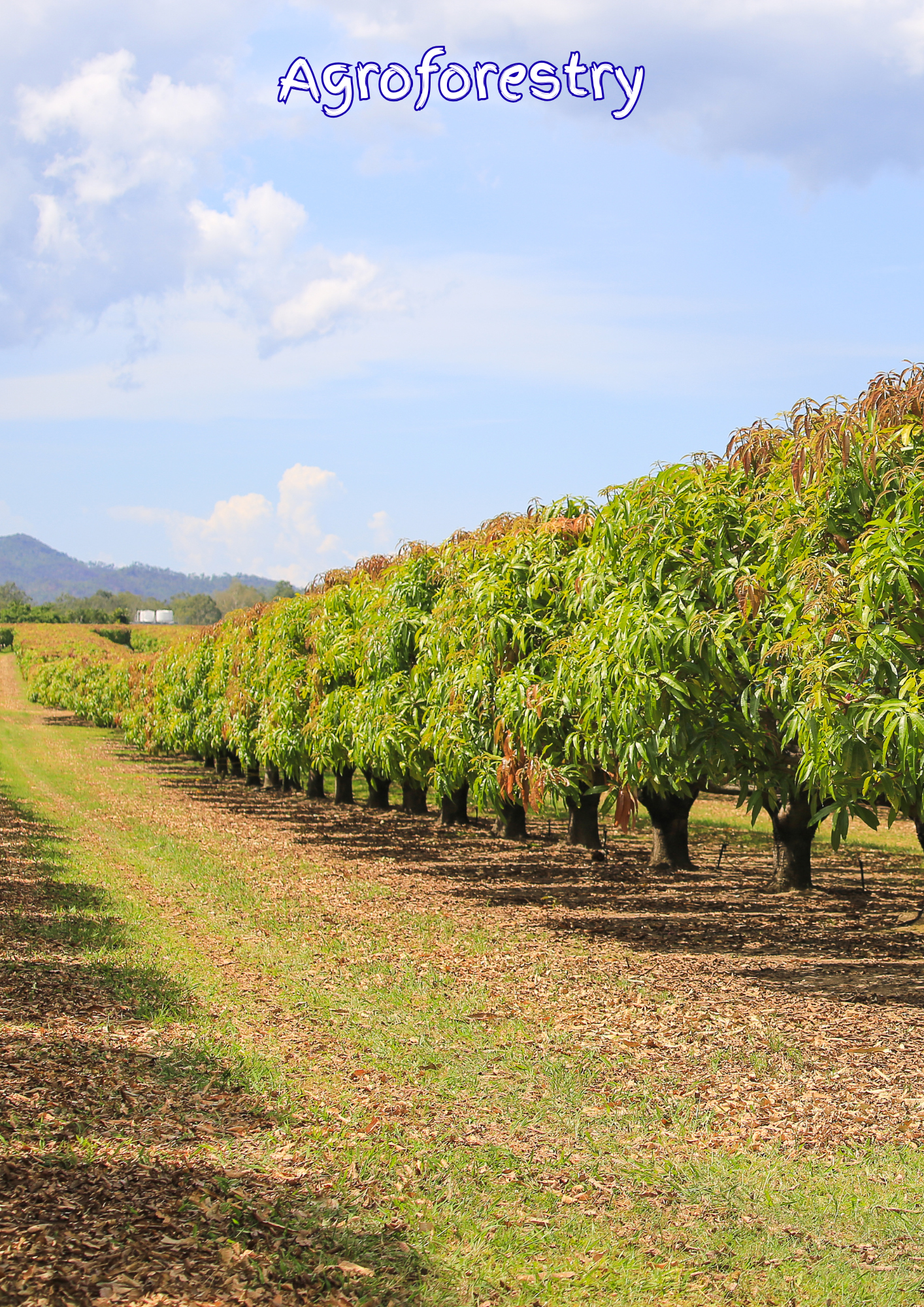 Verified Carbon Projects