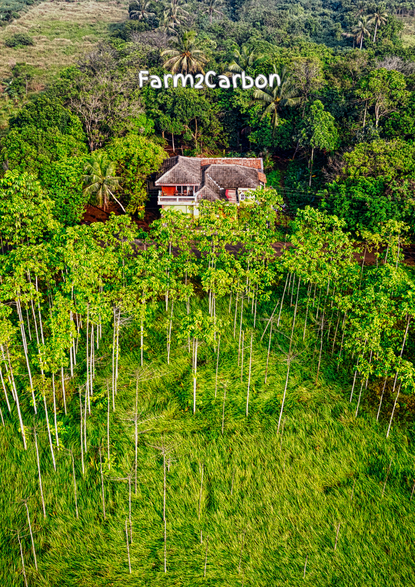 Farm2Carbon: Empowering Farmers Through Horticultural Plantations And Climate Action (Article 6: G2G)